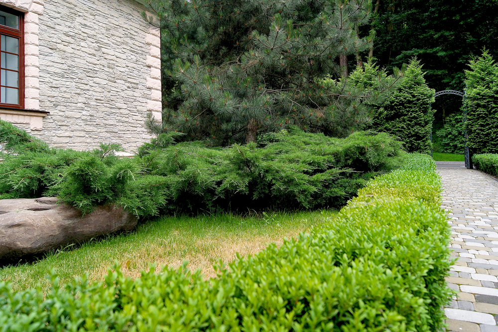 espace au sol de son jardin